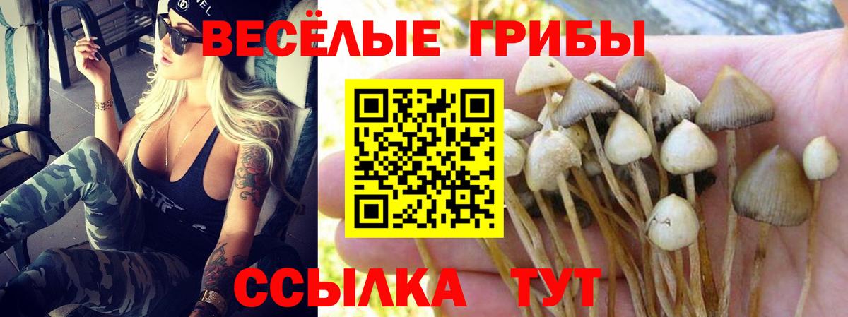 Псилоцибиновые грибы GOLDEN TEACHER  Вход с VPN  Астрахань 
